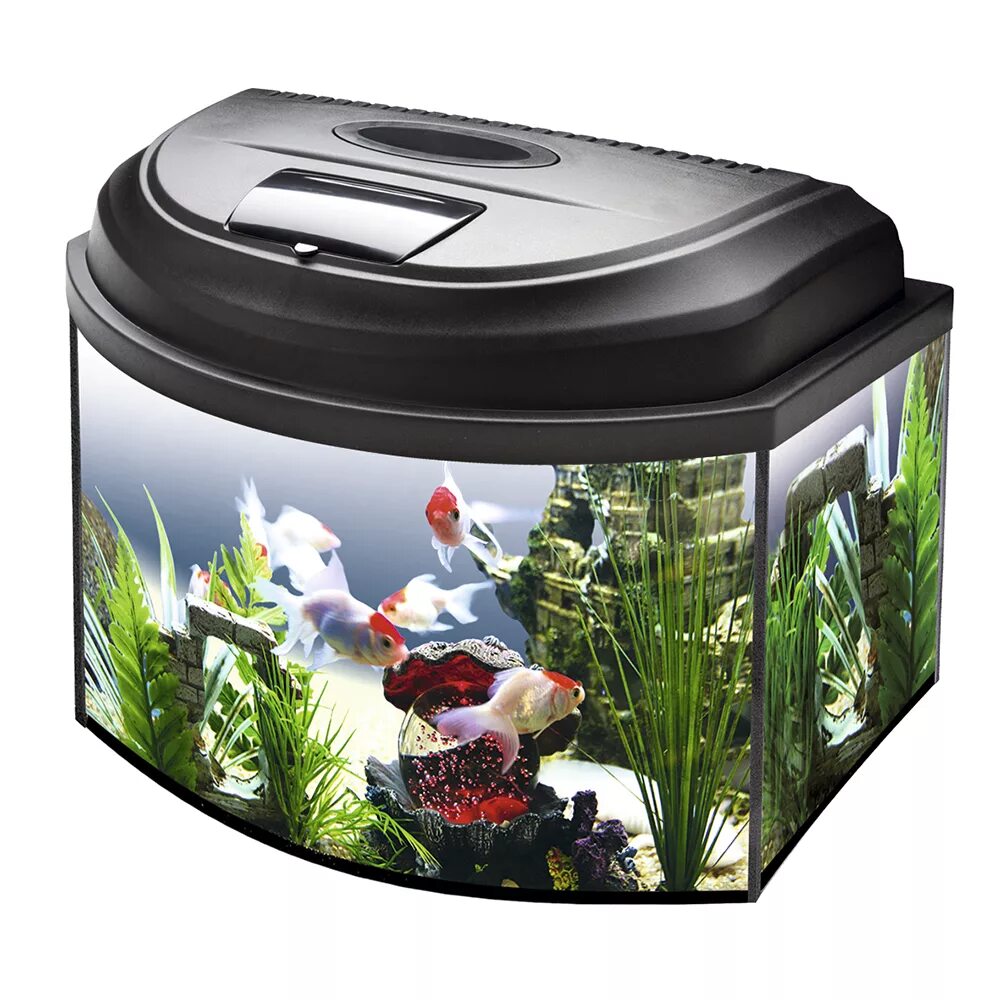 Аквариумы л. Аквариум Aquael aqua4kids 40 фигурный, черный (20 л). Aquael аквариум 20л. Aquael аквариум aqua4 Kids 40 25л прямой. Aquael 20 литров.
