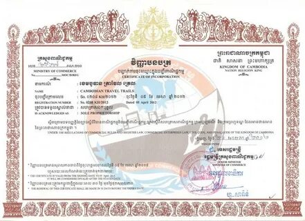 Лицензии сша