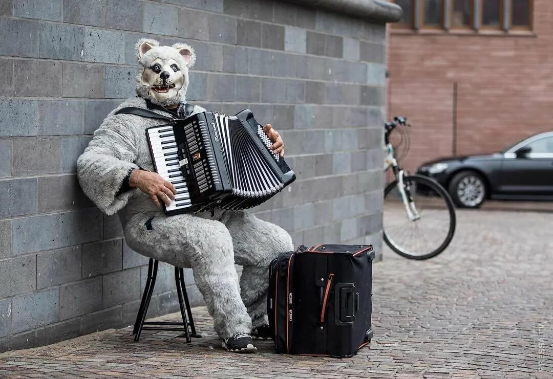 Баян музыкант. Человек с баяном. Кот с гармонью. Человек с аккордеоном. Быстро играет на гармошке