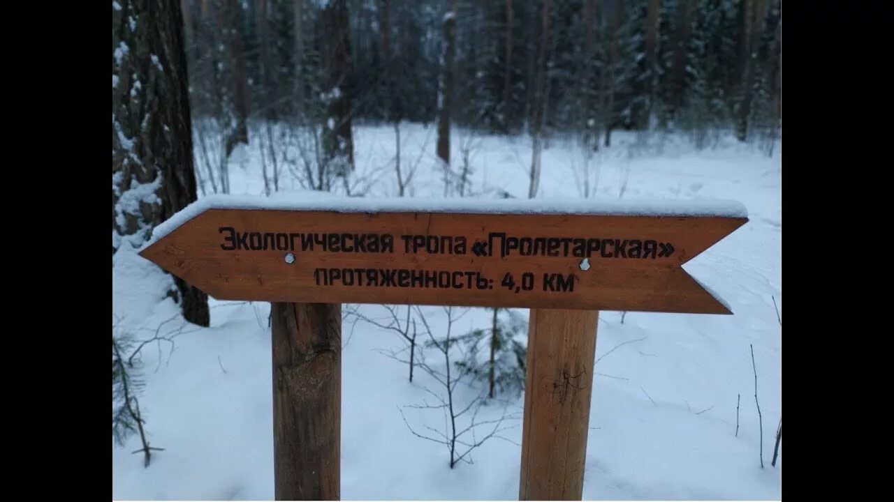 Тропа здоровья горно-алтайск. Экологическая тропа оренбург. Указатели для экотропы. Экологическая тропа в детском саду. Эко тропа сосновый бор.