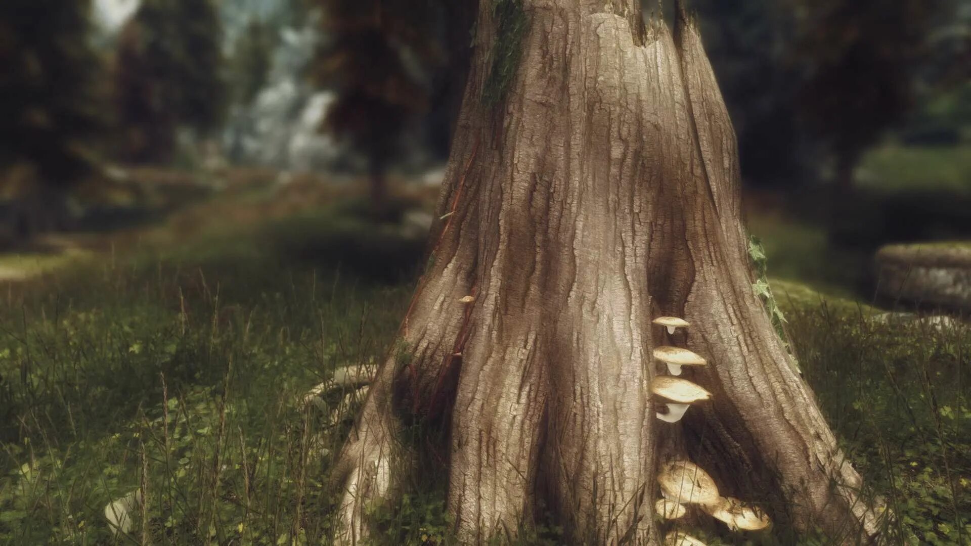 Скайрим дрова. Скайрим мод дрова. Скайрим мод дрова. Скайрим мод дрова. Скайрим мод дрова.