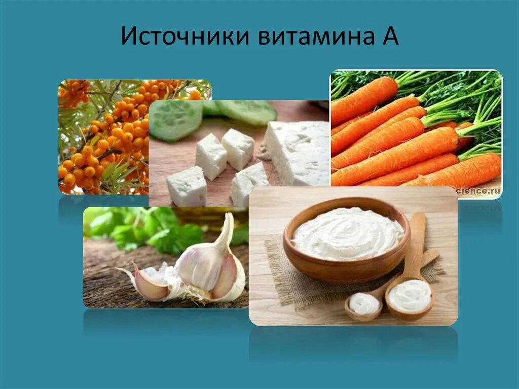 Какие продукты являются источником витамина c. Витамин а ретинол источники. Источники витамина с. Основные источники витаминов. Основные пищевые источники витамина с.