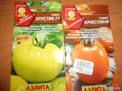 Томат пародист