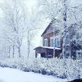 Стой снег