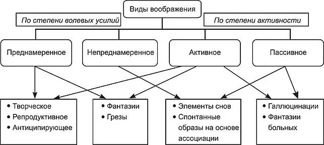 Два примера воображения. Воображение виды и свойства в психологии. Классификация воображения в психологии. Воображение в психологии в таблицах. Виды и формы воображения в психологии.