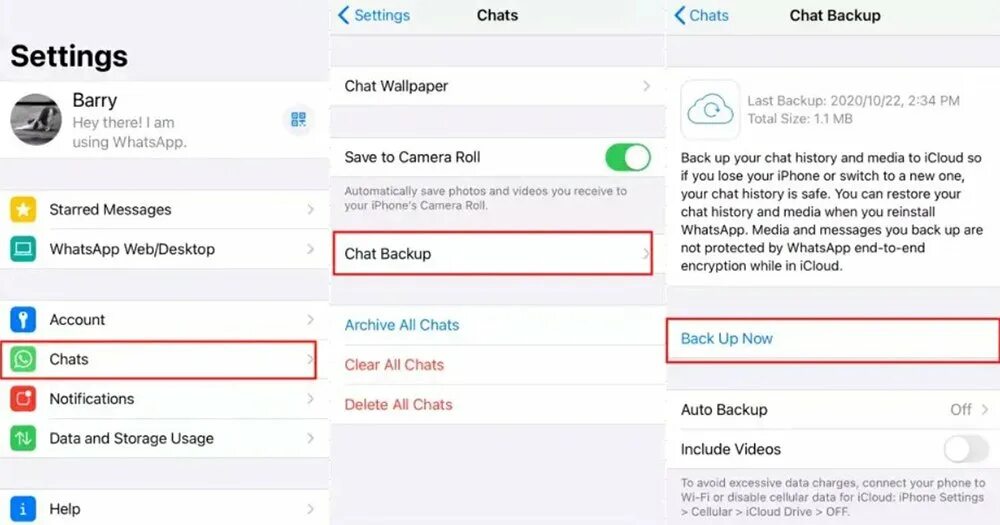 Создать копию ватсап на айфоне. Удаленные сообщения whatsapp в айфоне. чтение удаленных сообщений whatsapp на iphone. как прочитать удаленные сообщения в ватсап на айфоне. как скопировать ссылку ватсапа.