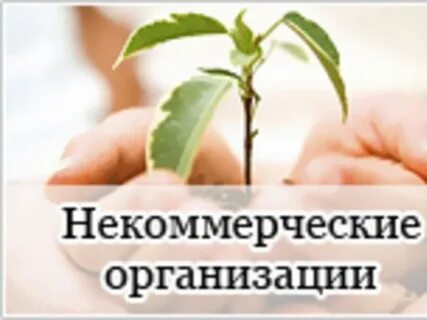 Аудит некоммерческих организаций