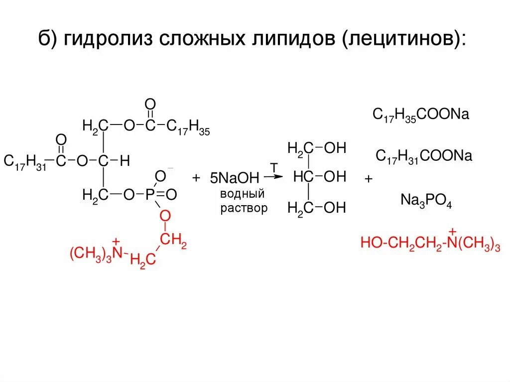 Щелочный гидролиз. Щелочной гидролиз лецитина реакция. Гидролизе фосфолипида лецитина. Кислотный гидролиз лецитина реакция. Щелочной гидролиз фосфолипидов реакция.