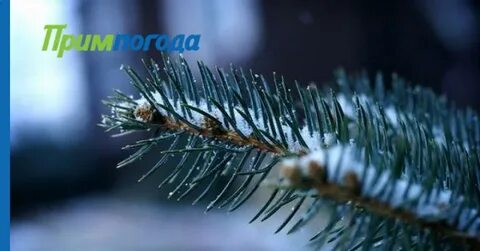 Зима болезни