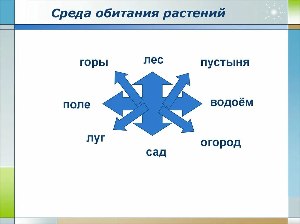 Среда обитания растений. Схема среда обитания растений. Среда обитания растений 6 класс биология. Связь растения со средой обитания. Четыре основные среды обитания