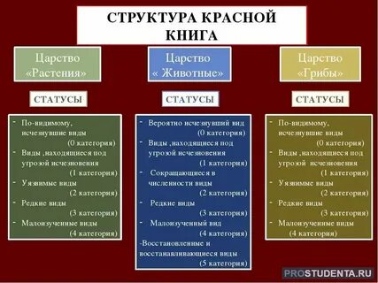 Книги и их классификация