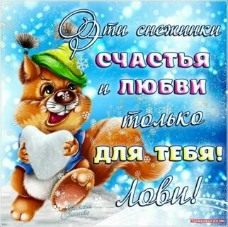 Видео прикольные с пожеланием добра