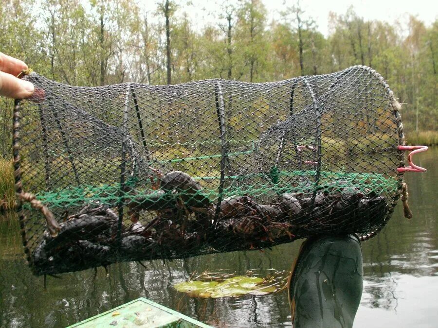 Морда рыболовная снасть