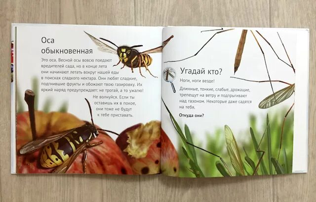 Аудиосказка про насекомых. Сказки про насекомых для детей. книги о насекомых для детей 5-6 лет. детские книги про насекомых. сказки про насекомых для детей 4-5.
