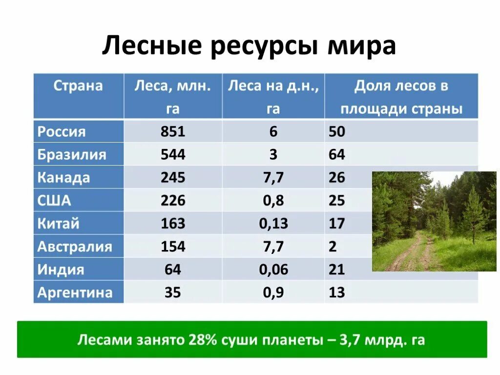 Сколько территории занимает
