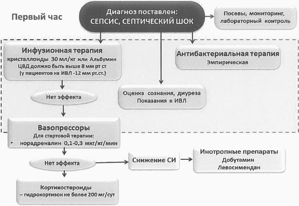 Септический шок презентация. Сепсис клинические рекомендации 2020. Септический шок в акушерстве клинические рекомендации. Септический шок клинические рекомендации. Критерии сепсиса клинические рекомендации.