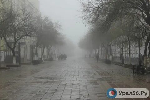 Погода в оренбурге на ноябрь 2024г