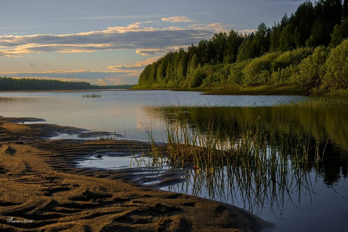 река мезень республика коми. устье реки мезень. прилив на реке мезень. река мезень. устье реки мезень.