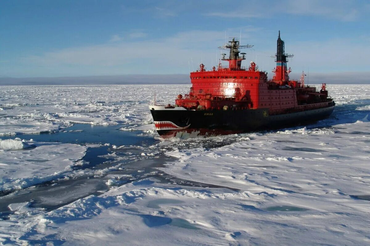 Северный морской путь ледокол Арктика. Ямал атомный ледокол. Ледокол Севморпуть Ямал. Северный Ледовитый океан ледокол. Нефть ледовитого океана