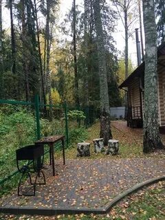 Ромашкино шаховская