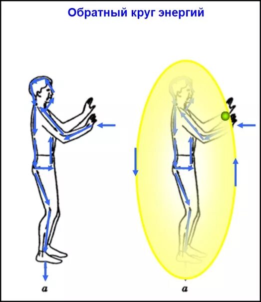 Прямой обратный круг. Прямой и обратный даосский круг энергии. Даосский круг и обратный круг Моносов. Прямой даосский круг Моносов. Прямой и обратный круг энергии.