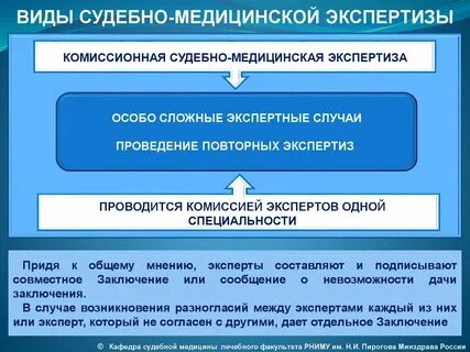 Процессуальное действие состоящее из проведения исследований