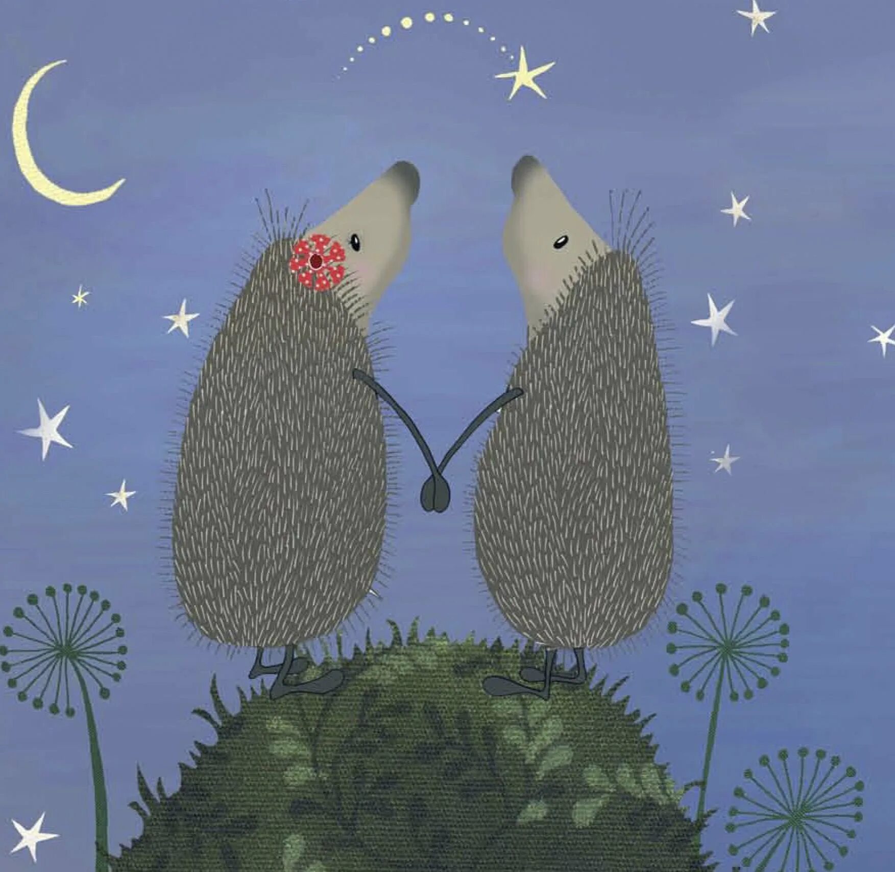 Два ежика. Поцелуй ежика. Ежики целуются. Любимый ежик. Любимый ежик.