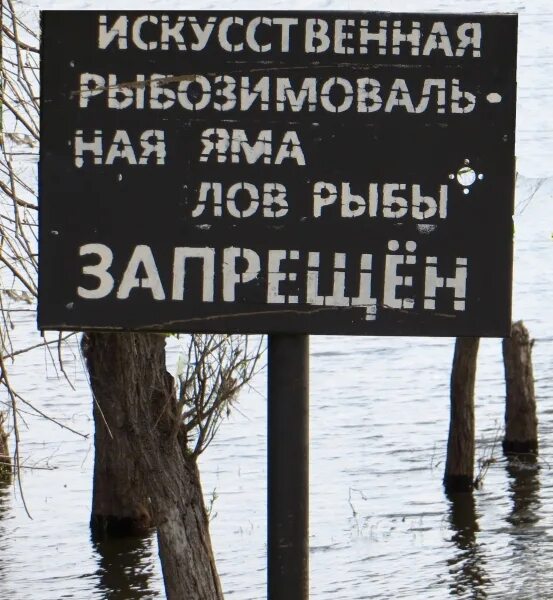 Астраханский запрет на ловлю рыбы. Лов рыбы запрещен. Рыбалка запрещена. Ловля запрещена запрещена. Зимовальные ямы запрет на ловлю.