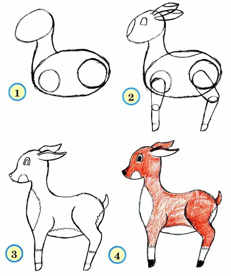 Поэтапное рисование для детей. Рисование животных. Рисование животных для детей. Схемы рисунков животных для детей.