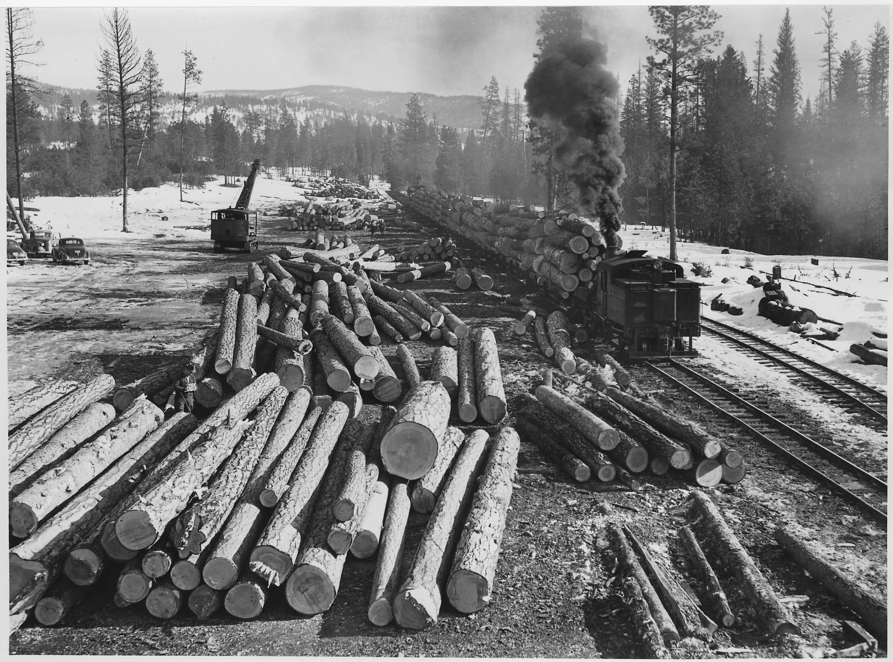 Logging trap