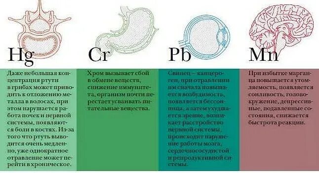 Отравление всего организма вызывают какие вещества. Отравление тяжелыми металлами. при отравлениях тяжелыми металлами:. тяжелве петталлы отравлер я. отравление человека тяжелыми металлами.