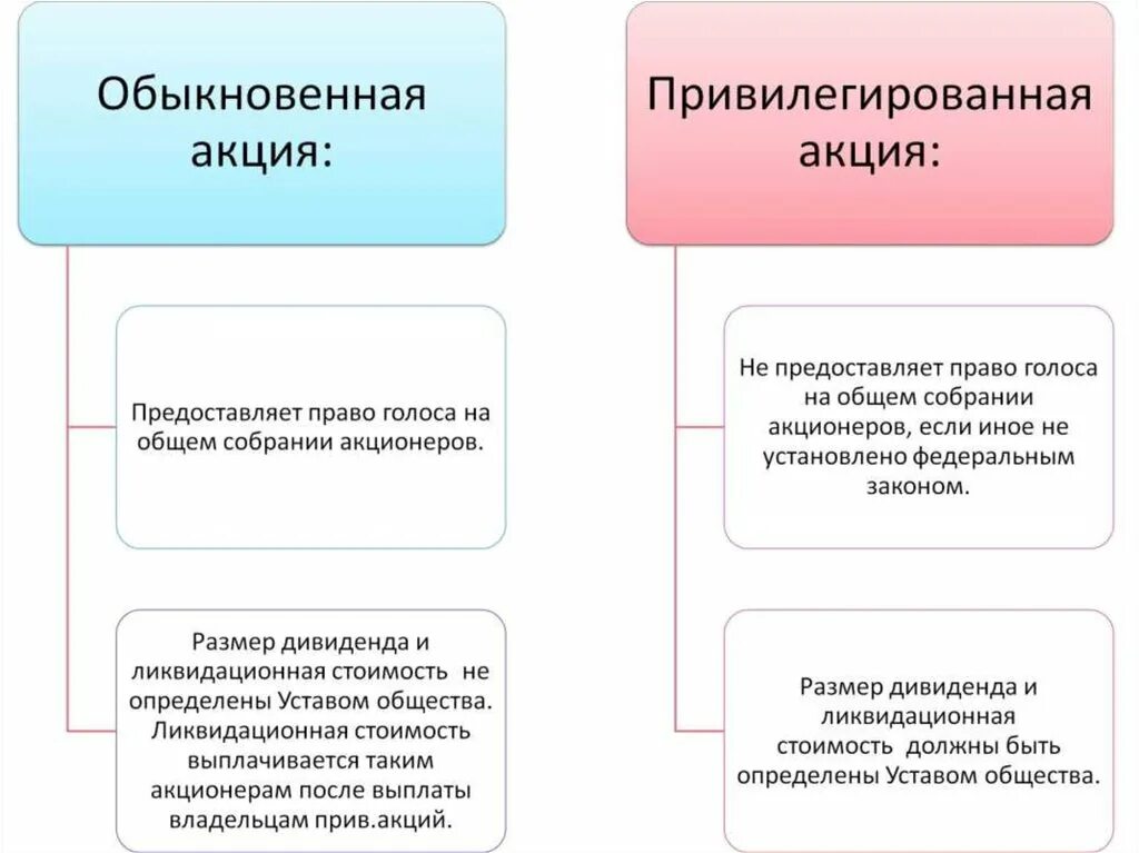 Обыкновенные и привилегированные акции. Виды акций. обыкновенные акции и привилегированные акции. привилегированные и обыкновенные акции егэ. акции обществознание егэ.