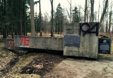 Символ рузы