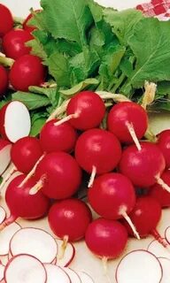Вкусный редис