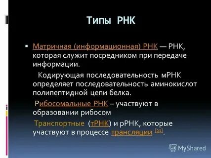 Сколько молекул ирнк кодирует 20 аминокислот