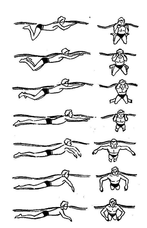 Плавание кролем пошагово. Брасс и Кроль техника плавания. Кроль брасс Баттерфляй. Техники плавания Баттерфляй. Кроль брасс Баттерфляй техника плавания.