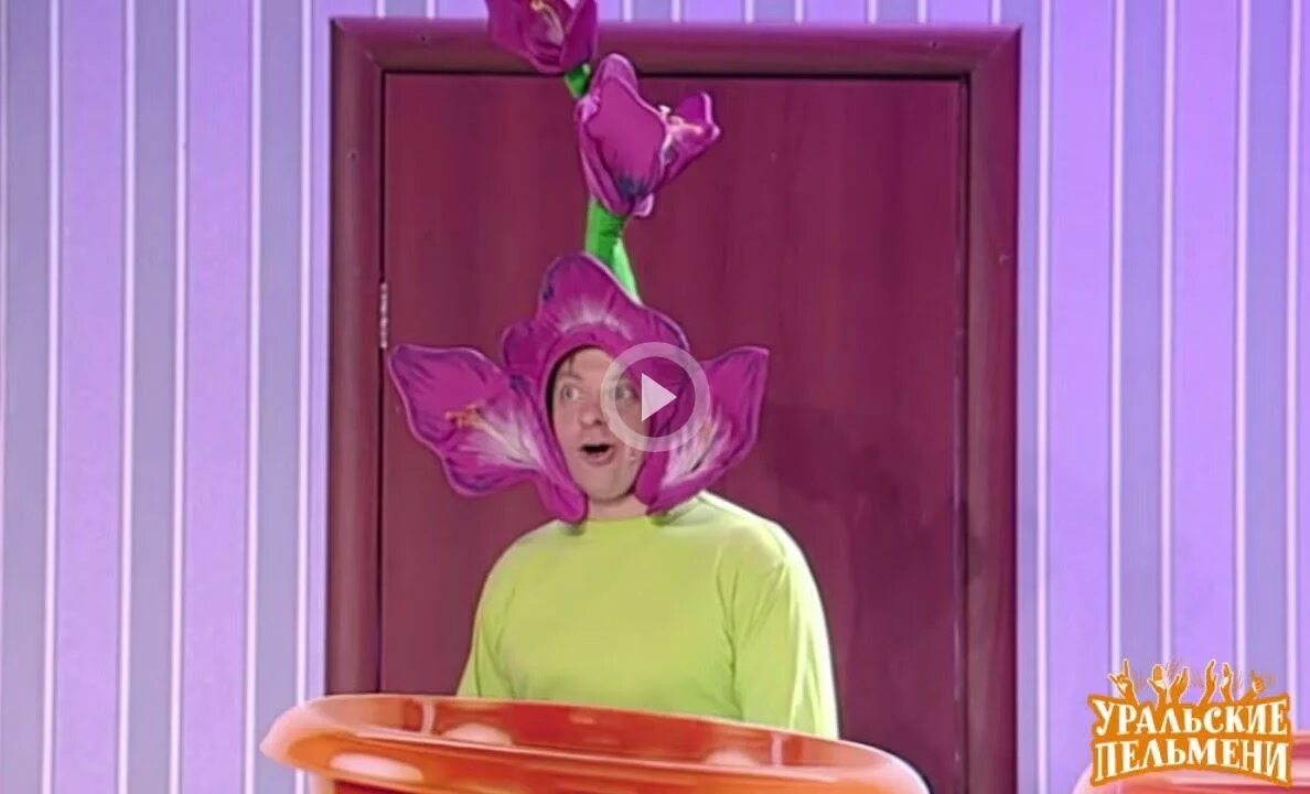 Потому что гладиолус мем. Уральские пельмени цветы. Потому что гладиолус квн. Потому что гладиолус. Брекоткин гладиолус.