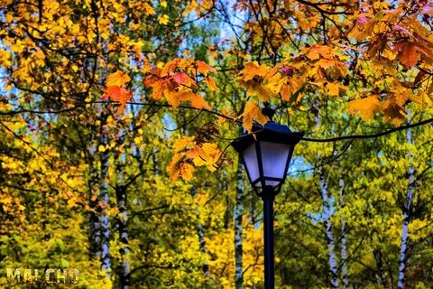 Октябрь красногорск