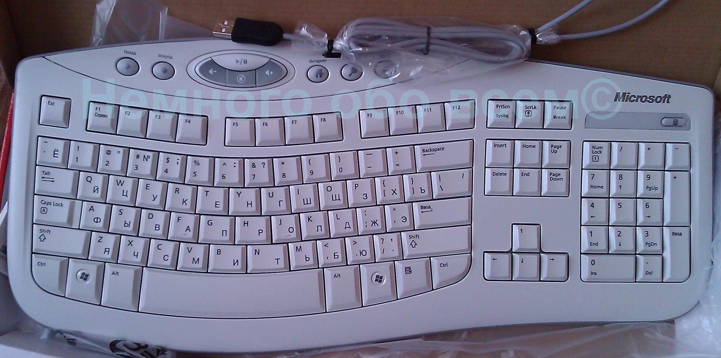 Microsoft keyboard 2000. Microsoft keyboard 2000 белая. клавиатура microsoft curve 2000. клавиатура майкрософт старая. клавиатура microsoft старая белая.