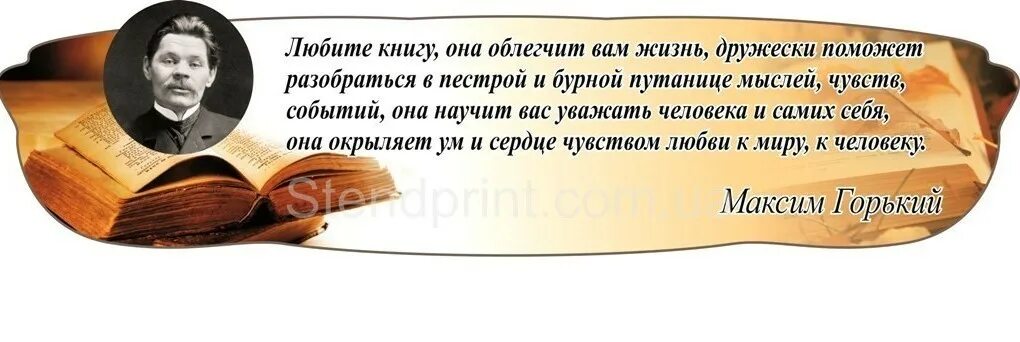 Высказывания о литературе. Что такое цитата в литературе. Высказывания писателей о книгах и чтении. Высказывания писателей о книгах.