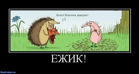 Топором убитый еж прикол