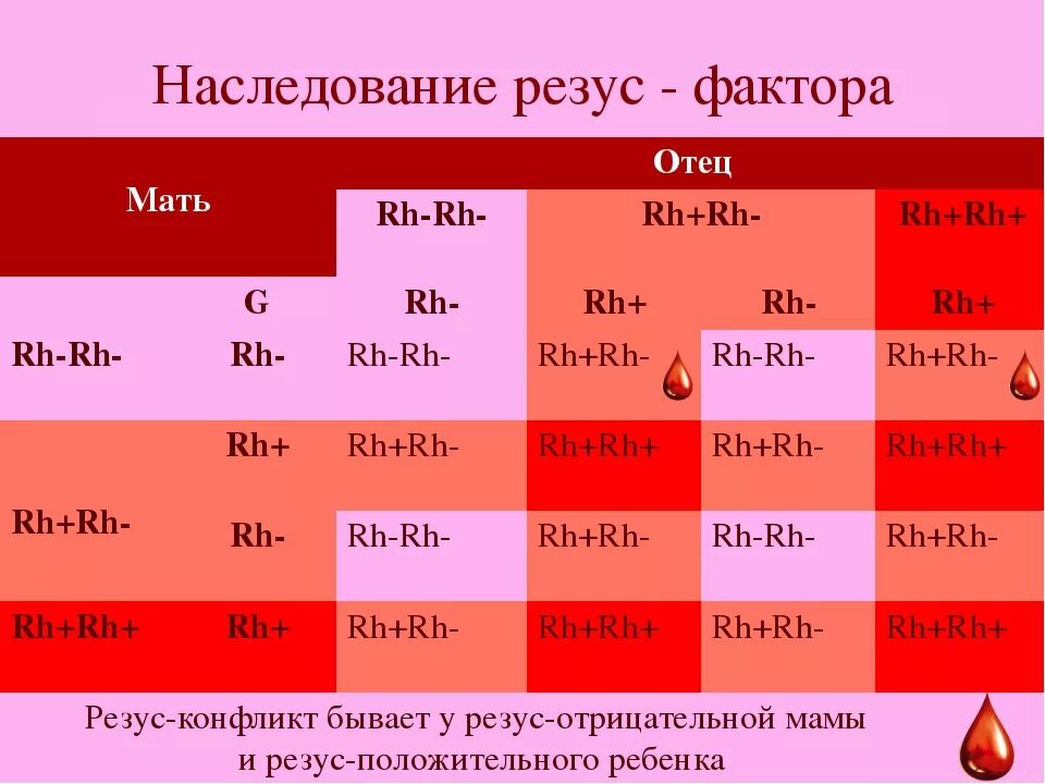 М 3 групп. Резус фактор схема наследования. Резус-фактор таблица наследования. Наследование резус фактора крови. Группа крови если у родителей положительная а у детей 2 отрицательная.