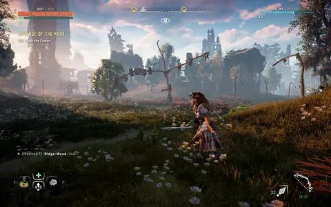 Horizon setup