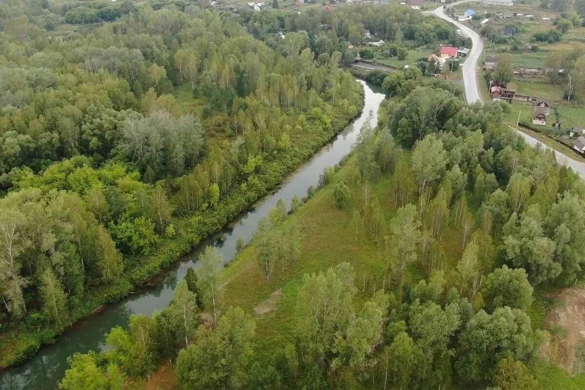 Река лосиха Алтайский край. Речка Бобровка Алтайский край. Село лосиха Косихинский район Алтайский край. Покровка река лосиха.