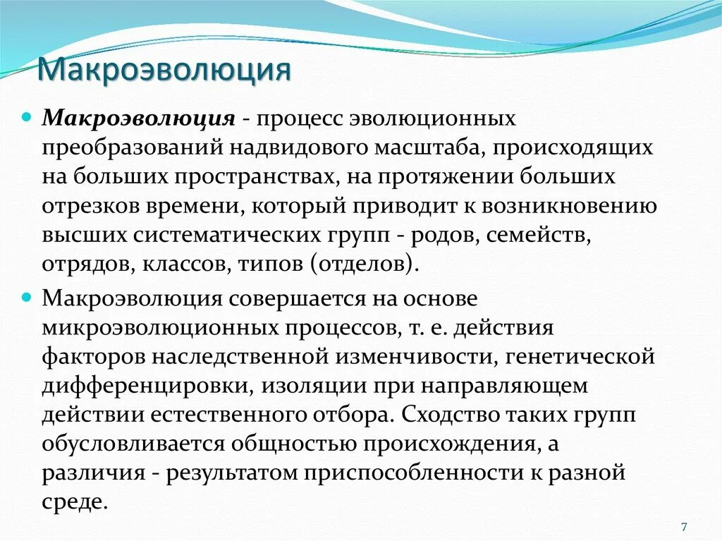 Результат микроэволюции появление. Макроэволюция. Понятие макроэволюции. Макроэволюция понятие. Микроэволюция основные понятия.