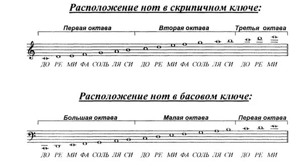 Ноты скрипичного ключа. Басовый ключ расположение нот на фортепиано. Басовый ключ малая Октава. Октава басового ключа фортепиано. Расположение нот на нотном стане в басовом Ключе.