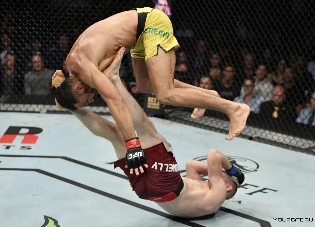 Сайгид изагахмаев боец. Дастин порье чемпион юфс. Матч тв прямой эфир бой. Матч тв мма. Матч тв прямой эфир юфс.