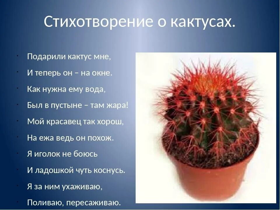 i?id=e7a26d9337b6f51b69f99b6196ddbc10_l-