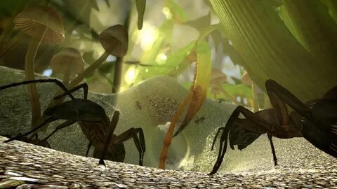 Ant gaming