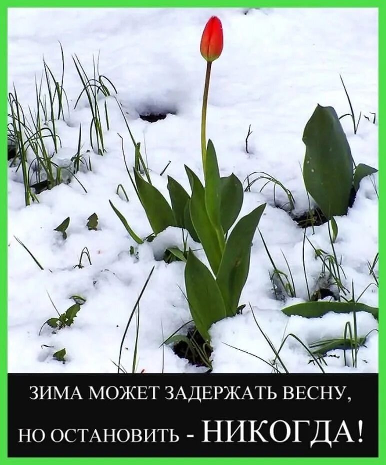 Десять лет до весны. Весеннее настроение. Весеннее настроение прикол. Весной.